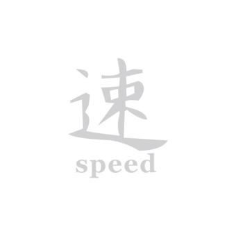 Abtibild Speed alb reflectorizant auto decorativ pentru exterior si interior Cod: DZ-24