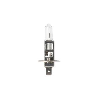 Bec H1 12/24V 55W   ART