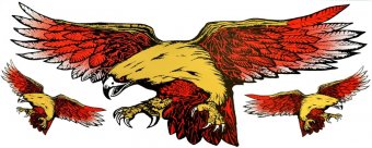 Abtibild VULTUR AN20