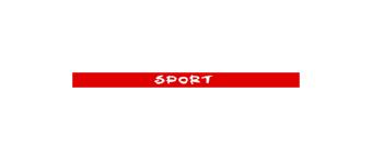 Abtibild parasolar SPORT parbriz/luneta diverse culori Cod: DZ-PRS-SP - Negru DZ-PRS-SP01