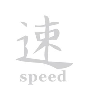 Abtibild SPEED diverse culori Cod: DZ-24 - Negru DZ-24