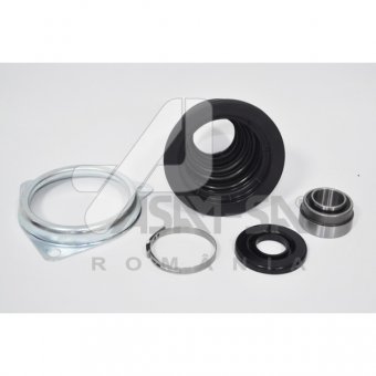 BURDUF PL.ANETARA  STG (spre cv) LOGAN TN  CX