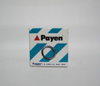 SIMERERING DISTRIBUTIE LOGAN 1.5 PAYEN