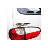 Abtibild  Privire Fata Cod: DZ-45