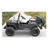 Mini Jeep 125cc 7.5CP cu marsarier 3 viteze off-road pentru copii si adulti Cod: JW1101-125