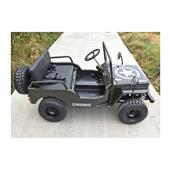 Mini Jeep 125cc 7.5CP cu marsarier 3 viteze off-road pentru copii si adulti Cod: JW1101-125