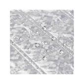 Parasolar exterior auto iarna vara cu protectie oglinzi geamuri fata laterale si capota 255x240 cm Cod: CST-255240