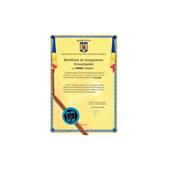 Perdele auto interior 7 bucati compatibile Daewoo Cielo Sedan 1994-2008 Cod: ARTFL7
