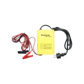 Redresor auto 12V 10A pentru baterii 30-150Ah Cod: BK87712