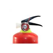 Stingator auto reincarcabil 1 kg P1 cu manometru Cod: A58