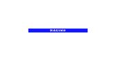 Abtibild parasolar RACING parbriz/luneta diverse culori Cod: DZ-PRS-RA - Negru DZ-PRS-RA01
