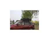 Cort auto impermeabil pentru 2 persoane, prindere pe plafon cu plaforma si scara Cod: DISMM30
