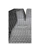 Covoare cauciuc compatibile  VW Arteon 2017 Cod: 410046 / P10