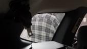 Perdele interior Dacia Duster 2010 ->